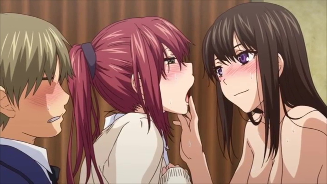 Anime porn harem