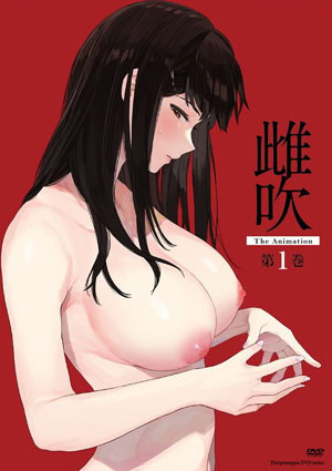 Menuki cover